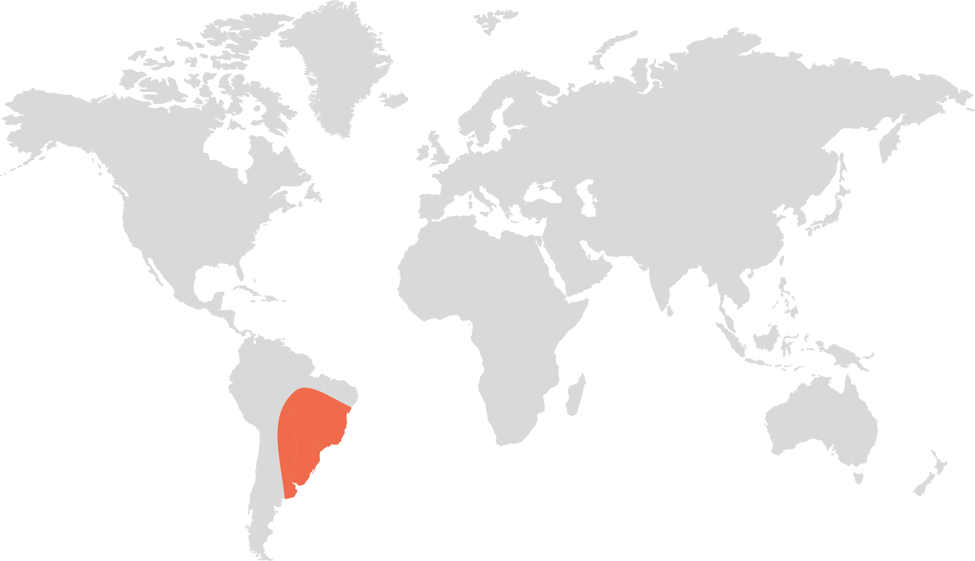 Distribuição geográfica do cachorro do mato